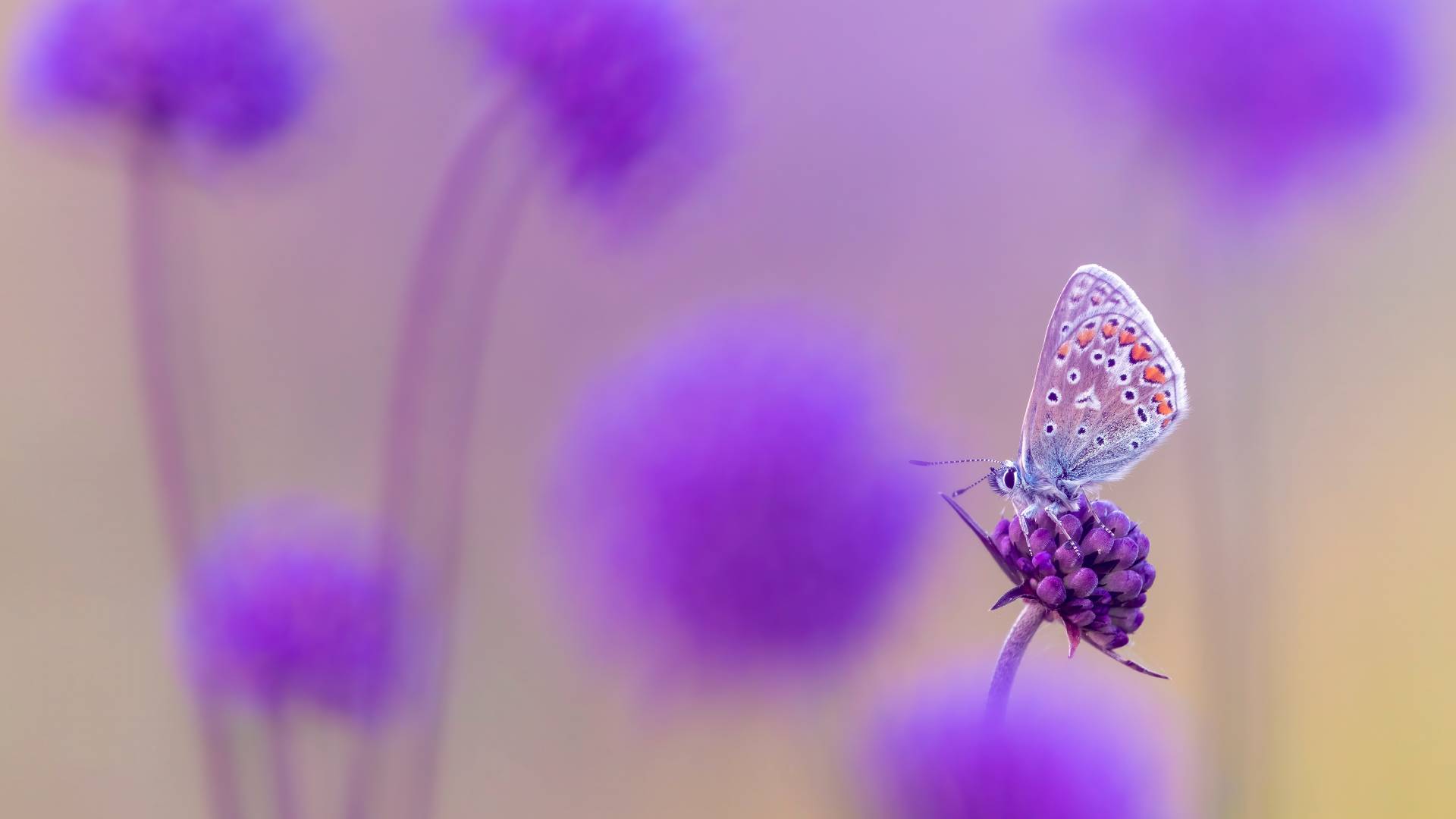 test02